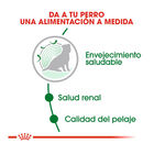 Royal Canin Mini 12+ Ageing pienso para perros, , large image number null